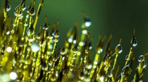 Правда ли, что по исламу в пятницу нельзя заниматься УБОРКОЙ?