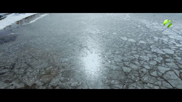 Арктика.Live "Скоро весна" смотреть онлайн