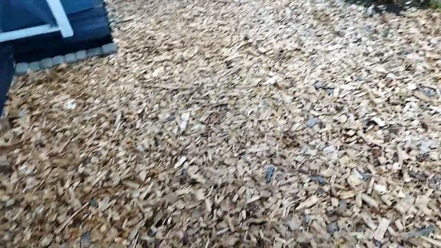 #ДАЧА#Каркасная баня#буронабивные сваи и обвязка смотреть онлайн