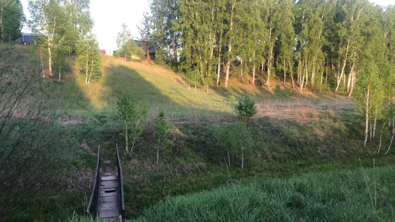 Лес пение птиц. Видео 4K 60fps. Природа. Новосибирская область. Nature. Novosibirsk region Russia. смотреть онлайн