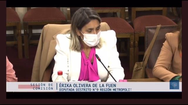 Diputada Erica Olivera sigue con el relato feminista radical del "TODES" en pleno congreso nacional смотреть онлайн