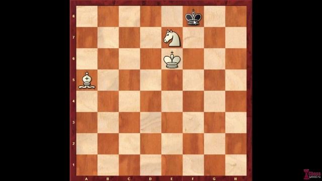 Как поставить мат конём и слоном (часть 1) смотреть онлайн
