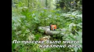Бывшая таежная деревня Войково  2 августа 2013 г