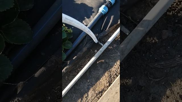 Делаем дуги на парник для клубники, доступно и просто смотреть онлайн