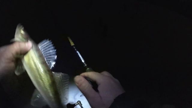 Ночная ловля судака. Старые "бойцы" в работе и бенефис Mr. Uno смотреть онлайн