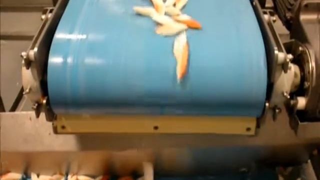 Fish-Surimi смотреть онлайн