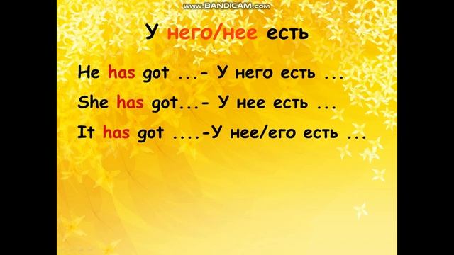 У меня есть... I have got ... 2 класс. Английский язык смотреть онлайн