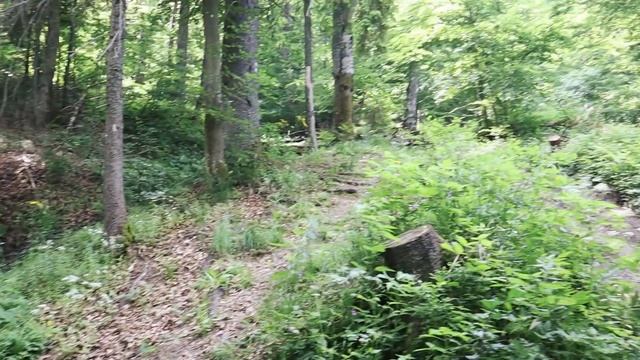 Славское (СЛАВСЬКЕ). Гора Захар Беркут. Крепость Тустань. Карпаты. смотреть онлайн