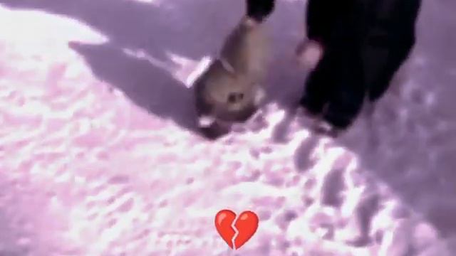 заставь меня сиять дядя✨️ смотреть онлайн