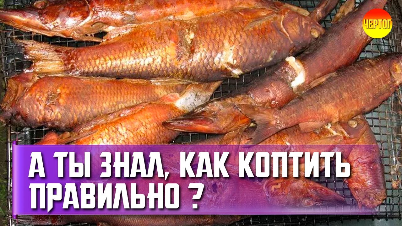 12 советов для горячего копчения. Горячее копчение смотреть онлайн