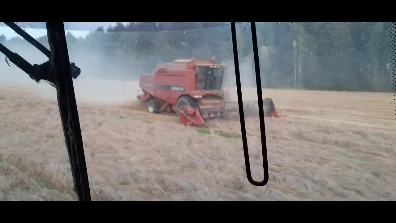 Палессе и Case в работе