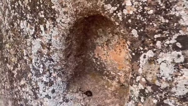 Top 3 Treasures Found In 2021. / Treasure Hunting