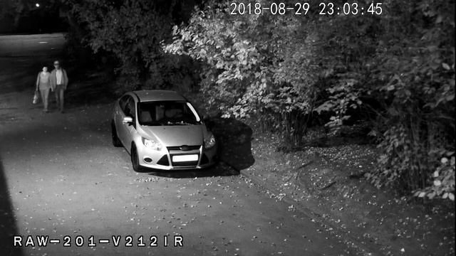 HD-камера Arax RAW-201-V212ir Ночь смотреть онлайн