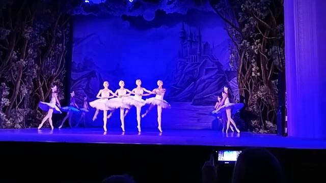 Танец маленьких лебедей смотреть онлайн