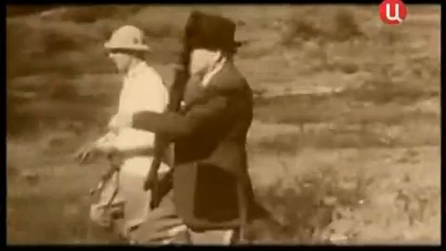 Все породы собак. Английский сеттер смотреть онлайн