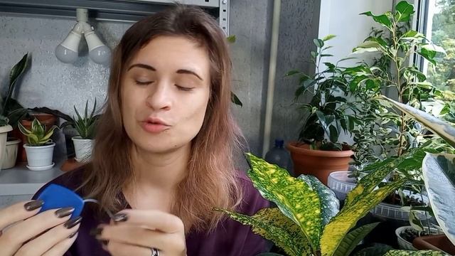 #NEWчеллендж "Что в сумочке моей"????? смотреть онлайн