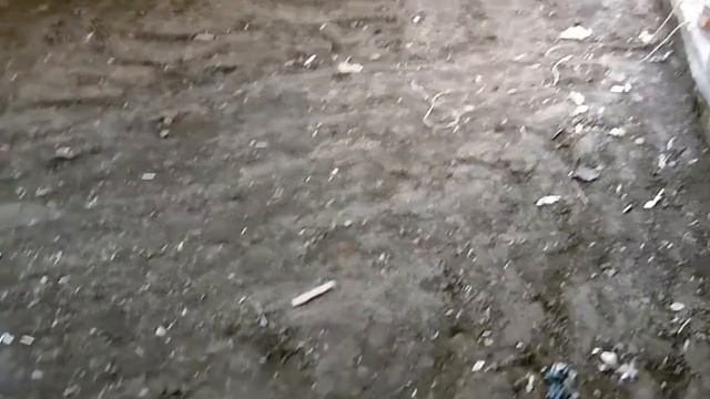 тел 8 920 599 27 31 или 8 905 677 68 52 аренда вибротрамбовки в Белгороде