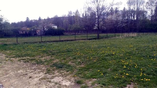 Как живет окраина польской деревни? Жизнь в Польше 2020 смотреть онлайн