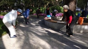 Утро китайских пенсионеров.