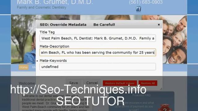 What is Seo Service - Meta Tags смотреть онлайн