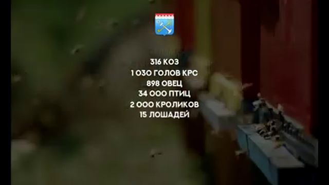 Перепрофилирование сельскохозяйственных предприятий смотреть онлайн