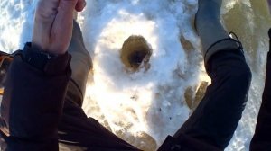 Лучшая насадка для рыбалки на плотву,окуня зимой