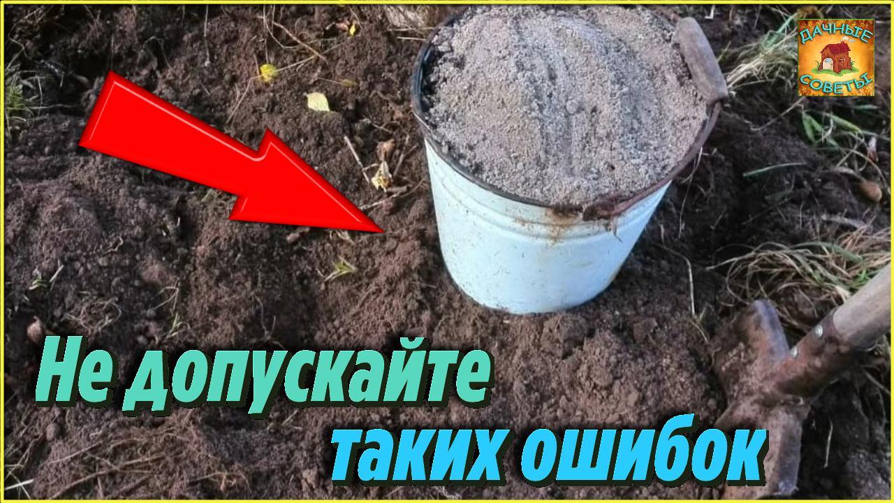 Главные Ошибки, которые совершают Огородники осенью в Саду и Огороде Делюсь своими Секретами смотреть онлайн