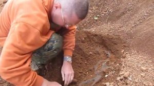 Кости динозавра!!! Как найти кости?