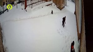 Итоговый выпуск Давеча 02 03 2024