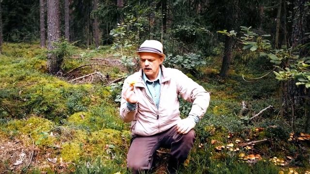 Грибной человек (около Гостыни 07 08 17) смотреть онлайн