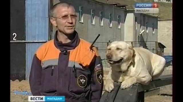 Собака-спасатель Егоза получила золотую медаль смотреть онлайн