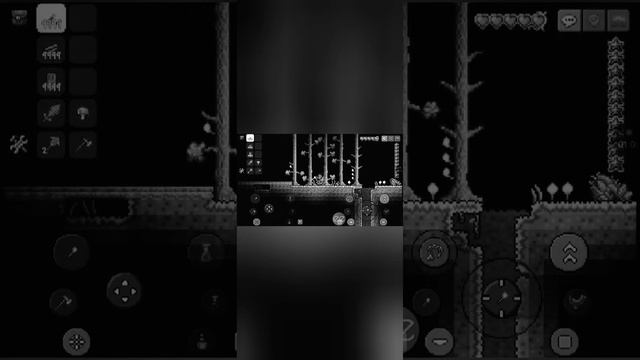 16 ноября 2022 г. смотреть онлайн