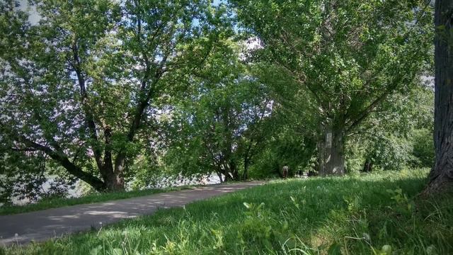 3 июня 2019 г. Прогулка в Измайлово смотреть онлайн