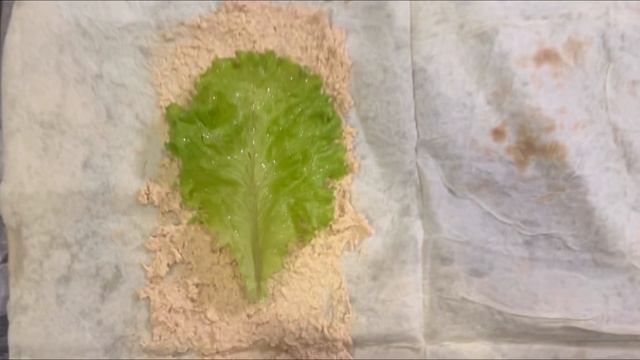 10 октября 2023 г.