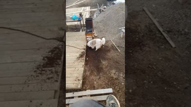 Путешествие к центру земли от Моники смотреть онлайн