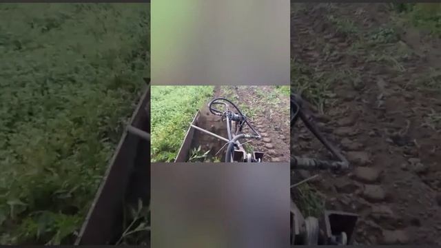 Проверка самодельной картофелекопалки смотреть онлайн