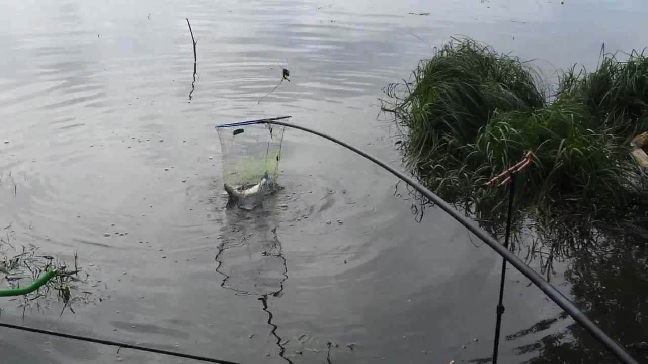 Фидер. Вываживание жереха!? смотреть онлайн