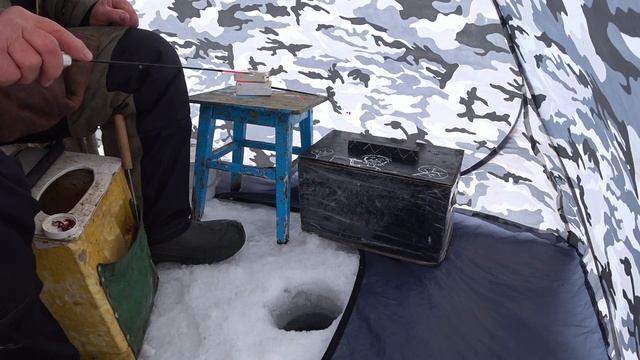 Наступила весна.  Ловим окуня на мормышку