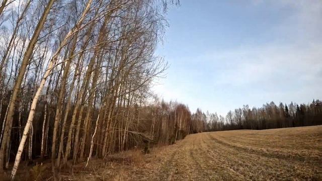 Весенняя охота на бобра смотреть онлайн