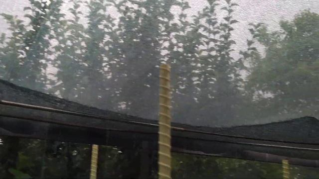ЗАРИСОВКА! БОТАНИЧЕСКИЙ САД-ОГОРОД В ЭКО-ПОСЕЛКЕ МРАМОРНОЕ. 21.07.2022 КРЫМ.В гостях у Елены! смотреть онлайн