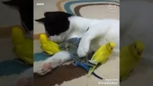 Есть друзья а для них у друзей нет выходных