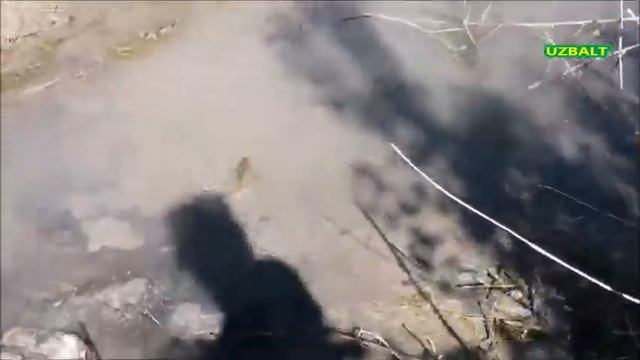 Рыбалка.Осень 2020 / Балик Ови / Зовурдан балик ушлаш жараёни смотреть онлайн
