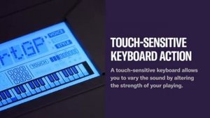 Yamaha PSR-E373/PSR-EW310/YPT-370Overview Video