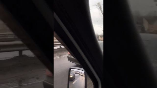Гаишники ловят табун лошадей на дороге смотреть онлайн