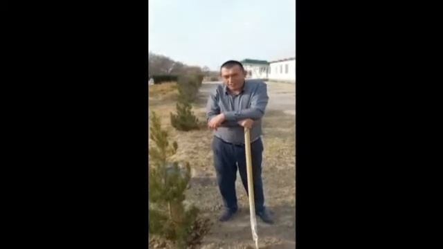 Yangiobod 9-maktab Yashil makon смотреть онлайн