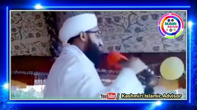 🤔WHY_DO_WE_SUFFER? || Kashmiri BaYan By Shaykh Abdul Rashid Dawoodi T•S•A смотреть онлайн