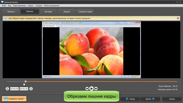 Программа захвата видео с экрана смотреть онлайн