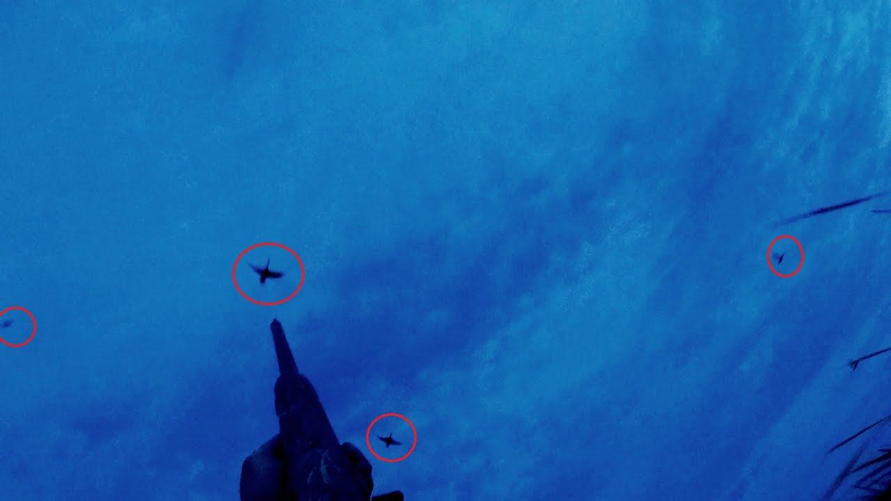 ОХОТА НА УТОК !!! ЛУЧШАЯ ОХОТА В ЖИЗНИ!!! Море Уток!!!Кончились патроны. Открытие смотреть онлайн