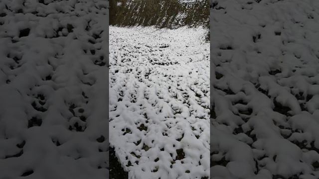 Из-за чего на меня будет ругаться девушка смотреть онлайн