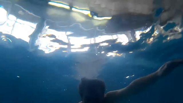 Бассейн ФОК "Сходня" смотреть онлайн